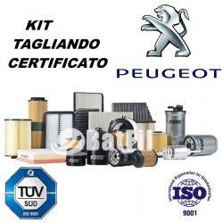 Kit tagliando Peugeot 206 1.4 HDI 16V 68KW 92HP 206 1.6...